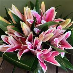 All Lily Bouquet