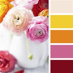 Vibrant Colours Basket