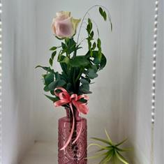 Single Rose in Vase