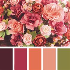 Reds & Hot Pinks Planted Arrangement The Flower Company Florist Inve